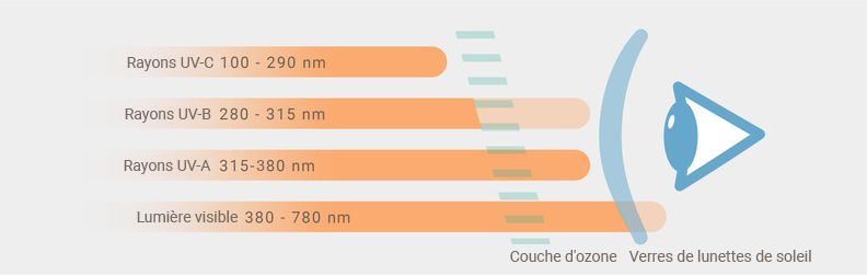 Rayonnements UVA, UVB et UVC sur l'œil