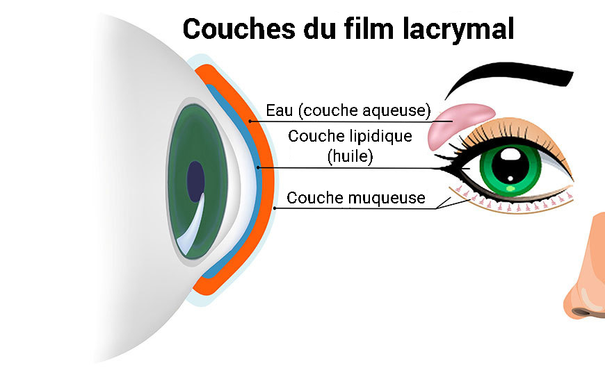 film lacrymal