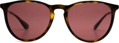 Ray-Ban Erika RB4171 639175 54