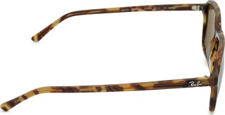 Ray-Ban Raimond RB2231 141833 37457