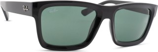 Ray-Ban Warren RB4396 667771